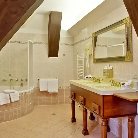 Hotel Ruze & Wellness 4*