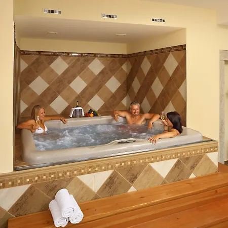 Hotel Ruze & Wellness 5*