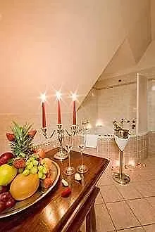 Ruze & Wellness فندق
