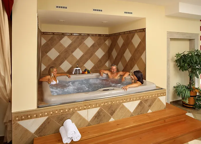 Hotel Ruze & Wellness 5*